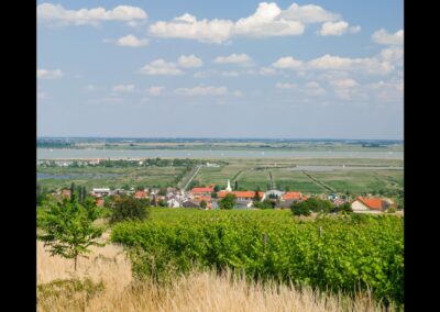 Burgenland - Mörbisch - Weinort am Neusiedler See