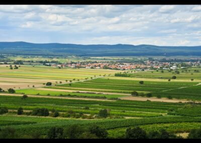Burgenland - Oslip - Gemeinde und Landschaft