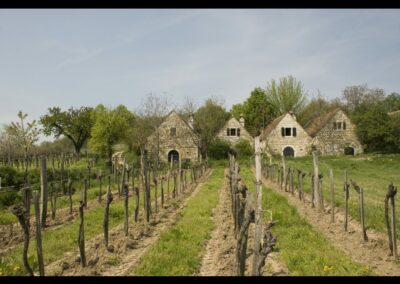 Burgenland - Weinbauer - Eine lange Tradition