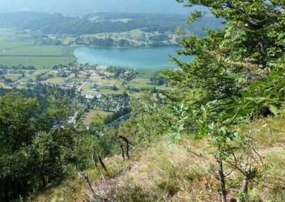 Kärnten - Blick auf den Pressegger See
