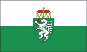 Steiermark Fahne mit Wappen