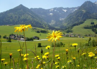 Tirol - Landschaft im Kaisergebirge