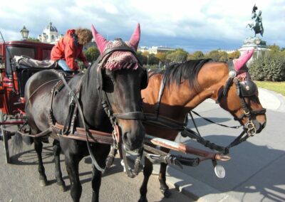 Bild zeigt: Wien - Pferdekutsche vor der Hofburg