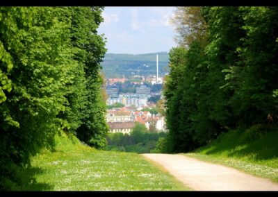 Bild zeigt: Wien - Wanderweg im Schlosspark Schönbrunn